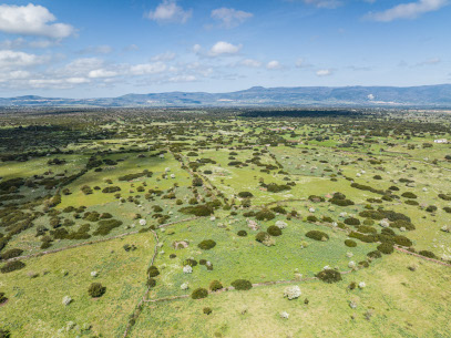 Altopiano di Abbasanta nella la Rete Natura 2000