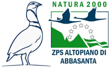 Logo Unione Europea